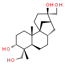 ChemSpider 2D Image | (1S,2S,5R,6R,7R,10S,13R)-6,13-Bis(hydroxymethyl)-2,6-dimethyltetracyclo[10.3.1.0~1,10~.0~2,7~]hexadecane-5,13-diol | C20H34O4