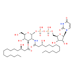 ChemSpider 2D Image | UDP-2,3-bis[(3R)-3-hydroxytetradecanoyl]-alpha-D-glucosamine | C43H77N3O20P2