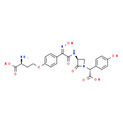 ChemSpider 2D Image | O-{4-[(1Z)-2-({(3S)-1-[(R)-Carboxy(4-hydroxyphenyl)methyl]-2-oxo-3-azetidinyl}amino)-N-hydroxy-2-oxoethanimidoyl]phenyl}-L-homoserine | C23H24N4O9