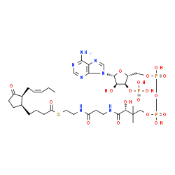 ChemSpider 2D Image | S-{(9R)-1-[(2R,3S,4R,5R)-5-(6-Amino-9H-purin-9-yl)-4-hydroxy-3-(phosphonooxy)tetrahydro-2-furanyl]-3,5,9-trihydroxy-8,8-dimethyl-3,5-dioxido-10,14-dioxo-2,4,6-trioxa-11,15-diaza-3lambda~5~,5lambda~5~-
diphosphaheptadecan-17-yl} 4-{(1S,2S)-3-oxo-2-[(2Z)-2-penten-1-yl]cyclopentyl}butanethioate | C35H56N7O18P3S