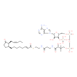 ChemSpider 2D Image | S-{(9R)-1-[(2R,3S,4R,5R)-5-(6-Amino-9H-purin-9-yl)-4-hydroxy-3-(phosphonooxy)tetrahydro-2-furanyl]-3,5,9-trihydroxy-8,8-dimethyl-3,5-dioxido-10,14-dioxo-2,4,6-trioxa-11,15-diaza-3lambda~5~,5lambda~5~-
diphosphaheptadecan-17-yl} (2E)-8-{(1S,2S)-3-oxo-2-[(2Z)-2-penten-1-yl]cyclopentyl}-2-octenethioate | C39H62N7O18P3S