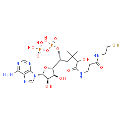 ChemSpider 2D Image | (1R)-1-[(2S,3S,4R,5R)-5-(6-Amino-9H-purin-9-yl)-3,4-dihydroxytetrahydro-2-furanyl]-4-hydroxy-3,3-dimethyl-5-oxo-5-({3-oxo-3-[(2-sulfanylethyl)amino]propyl}amino)pentyl trihydrogen diphosphate | C21H35N7O13P2S