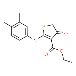 ChemSpider 2D Image | Ethyl 2-[(3,4-dimethylphenyl)amino]-4-oxo-4,5-dihydro-3-thiophenecarboxylate | C15H17NO3S