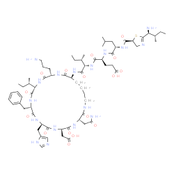 ChemSpider 2D Image | N-({(5S)-2-[(1S,2S)-1-Amino-2-methylbutyl]-4,5-dihydro-1,3-thiazol-5-yl}carbonyl)-L-leucyl-L-alpha-glutamyl-N-[(3S,6R,9R,12S,15S,18S,21S)-3-(2-amino-2-oxoethyl)-18-(3-aminopropyl)-12-benzyl-15-[(2S)-2
-butanyl]-6-(carboxymethyl)-9-(1H-imidazol-5-ylmethyl)-2,5,8,11,14,17,20-heptaoxo-1,4,7,10,13,16,19-heptaazacyclopentacosan-21-yl]-L-isoleucinamide | C66H103N17O16S