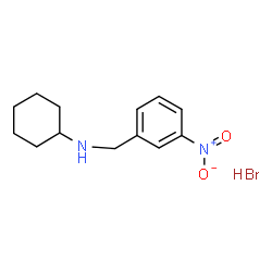 ChemSpider 2D Image | N-(3-Nitrobenzyl)cyclohexanamine hydrobromide (1:1) | C13H19BrN2O2