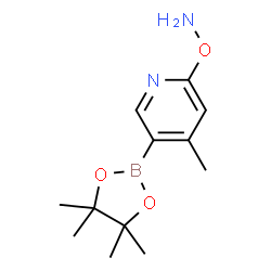 ChemSpider 2D Image | 2-(Aminooxy)-4-methyl-5-(4,4,5,5-tetramethyl-1,3,2-dioxaborolan-2-yl)pyridine | C12H19BN2O3