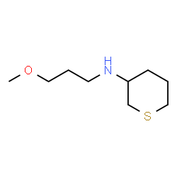 ChemSpider 2D Image | N-(3-Methoxypropyl)tetrahydro-2H-thiopyran-3-amine | C9H19NOS