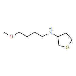 ChemSpider 2D Image | N-(4-Methoxybutyl)tetrahydro-3-thiophenamine | C9H19NOS
