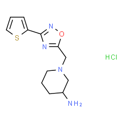 ChemSpider 2D Image | 1-{[3-(thiophen-2-yl)-1,2,4-oxadiazol-5-yl]methyl}piperidin-3-amine hydrochloride | C12H17ClN4OS