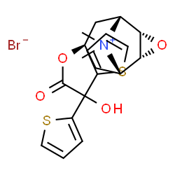 ChemSpider 2D Image | (1R,2S,4R,5S,7r)-7-[2-Hydroxy(di-2-thienyl)acetoxy]-9,9-dimethyl-3-oxa-9-azoniatricyclo[3.3.1.0~2,4~]nonane bromide | C19H22BrNO4S2