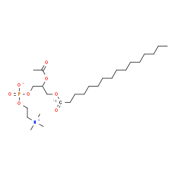 ChemSpider 2D Image | 2-Acetoxy-3-[(1-~14~C)hexadecanoyloxy]propyl 2-(trimethylammonio)ethyl phosphate | C2514CH52NO8P