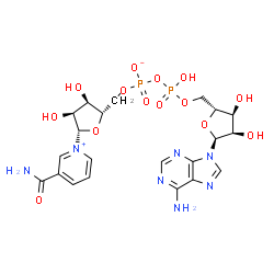 ChemSpider 2D Image | [[(2R,3S,4R,5S)-5-(6-aminopurin-9-yl)-3,4-dihydroxy-tetrahydrofuran-2-yl]methoxy-hydroxy-phosphoryl] [(2S,3R,4S,5S)-5-(3-carbamoylpyridin-1-ium-1-yl)-3,4-dihydroxy-tetrahydrofuran-2-yl]methyl phosphate | C21H27N7O14P2
