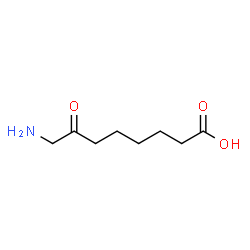 ChemSpider 2D Image | 8-Amino-7-oxooctanoic acid | C8H15NO3