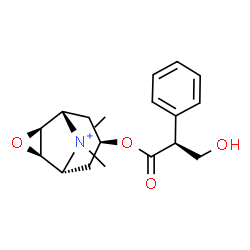 ChemSpider 2D Image | (1R,2R,4S,5S,7r)-7-{[(2S)-3-Hydroxy-2-phenylpropanoyl]oxy}-9,9-dimethyl-3-oxa-9-azoniatricyclo[3.3.1.0~2,4~]nonane | C18H24NO4