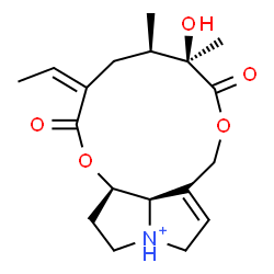 ChemSpider 2D Image | (15Z)-12-Hydroxy-11,16-dioxosenecionan-4-ium | C18H26NO5