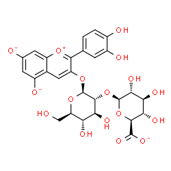ChemSpider 2D Image | 2-(3,4-Dihydroxyphenyl)-3-{[2-O-(beta-D-glucopyranuronosyl)-beta-D-glucopyranosyl]oxy}-5,7-chromeniumdiolate | C27H26O17