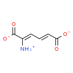 ChemSpider 2D Image | (2Z,4E)-2-Ammonio-2,4-hexadienedioate | C6H6NO4