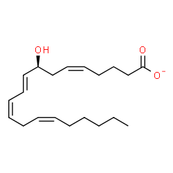 ChemSpider 2D Image | (5Z,8S,9E,11Z,14Z)-8-Hydroxy-5,9,11,14-icosatetraenoate | C20H31O3