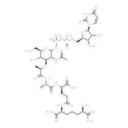 ChemSpider 2D Image | (2S,6R)-2-{[(4R)-4-{[(2S)-2-{[(2R)-2-{[(3R,4R,5S,6R)-3-Acetamido-2-{[{[{[(2R,3S,4R,5R)-5-(2,4-dioxo-3,4-dihydro-1(2H)-pyrimidinyl)-3,4-dihydroxytetrahydro-2-furanyl]methoxy}(hydroxy)phosphoryl]oxy}(hy
droxy)phosphoryl]oxy}-5-hydroxy-6-(hydroxymethyl)tetrahydro-2H-pyran-4-yl]oxy}propanoyl]amino}propanoyl]amino}-4-carboxybutanoyl]amino}-6-aminoheptanedioic acid | C35H55N7O26P2