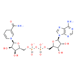 ChemSpider 2D Image | [[(2R,3S,4R,5R)-5-(6-aminopurin-9-yl)-3,4-dihydroxy-tetrahydrofuran-2-yl]methoxy-oxido-phosphoryl] [(2R,3S,4R,5S)-5-(3-carbamoyl-4H-pyridin-1-yl)-3,4-dihydroxy-tetrahydrofuran-2-yl]methyl phosphate | C21H27N7O14P2