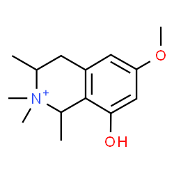 ChemSpider 2D Image | 8-Hydroxy-6-methoxy-1,2,2,3-tetramethyl-1,2,3,4-tetrahydroisoquinolinium | C14H22NO2
