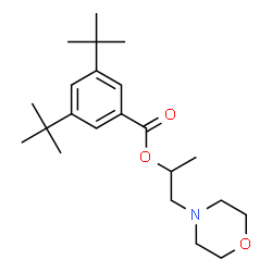 ChemSpider 2D Image | 1-(4-Morpholinyl)-2-propanyl 3,5-bis(2-methyl-2-propanyl)benzoate | C22H35NO3