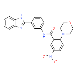 ChemSpider 2D Image | N-[3-(1H-Benzimidazol-2-yl)phenyl]-2-(4-morpholinyl)-5-nitrobenzamide | C24H21N5O4