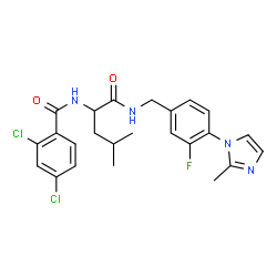 ChemSpider 2D Image | N~2~-(2,4-Dichlorobenzoyl)-N-[3-fluoro-4-(2-methyl-1H-imidazol-1-yl)benzyl]leucinamide | C24H25Cl2FN4O2