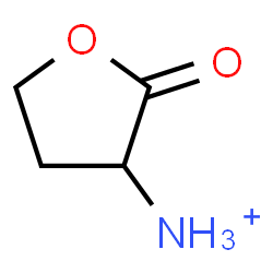 ChemSpider 2D Image | 2-Oxotetrahydro-3-furanaminium | C4H8NO2