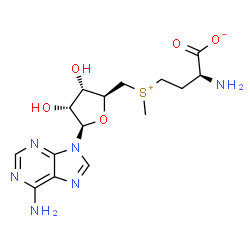 ChemSpider 2D Image | S-Adenosyl-L-methionine | C15H22N6O5S