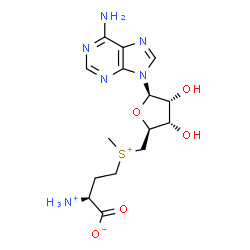 ChemSpider 2D Image | S-(5'-Adenosyl)-L-methionine conjugate acid | C15H23N6O5S