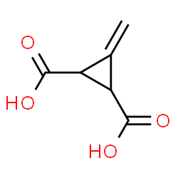 ChemSpider 2D Image | 3-Methylene-1,2-cyclopropanedicarboxylic acid | C6H6O4