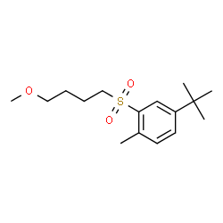 ChemSpider 2D Image | 2-[(4-Methoxybutyl)sulfonyl]-1-methyl-4-(2-methyl-2-propanyl)benzene | C16H26O3S