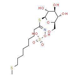 ChemSpider 2D Image | 8-methylthiooctyl glucosinolate | C16H31NO9S3