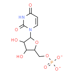 ChemSpider 2D Image | 1-(5-O-Phosphonatopentofuranosyl)-2,4(1H,3H)-pyrimidinedione | C9H11N2O9P