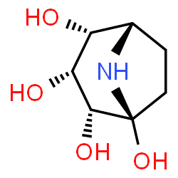 ChemSpider 2D Image | (1S,2R,3R,4R,5S)-8-Azabicyclo[3.2.1]octane-1,2,3,4-tetrol | C7H13NO4