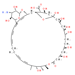 ChemSpider 2D Image | (1R,3S,5R,6R,9R,11R,15S,16R,17R,33R,35S,36R,37S)-33-[(3-Amino-3,6-dideoxy-beta-D-mannopyranosyl)oxy]-1,3,5,6,9,11,17,37-octahydroxy-15,16,18-trimethyl-13-oxo-14,39-dioxabicyclo[33.3.1]nonatriaconta-19
,21,25,27,29,31-hexaene-36-carboxylic acid | C47H75NO17