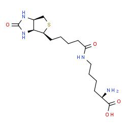 ChemSpider 2D Image | Biocytin | C16H28N4O4S
