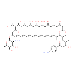 ChemSpider 2D Image | (23E,25E,27E,29E,31E,33E,35E)-22-[(2-Amino-2,6-dideoxy-beta-D-idopyranosyl)oxy]-38-[7-(4-aminophenyl)-5-hydroxy-4-methyl-7-oxo-2-heptanyl]-10,12,14,18,20-pentahydroxy-37-methyl-2,4,8,16-tetraoxooxacyc
looctatriaconta-23,25,27,29,31,33,35-heptaene-19-carboxylic acid | C59H84N2O18