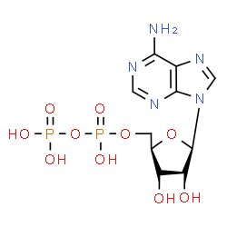 ChemSpider 2D Image | Adenosine 5'-(trihydrogen diphosphate) | C10H15N5O10P2