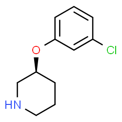 ChemSpider 2D Image | (3S)-3-(3-Chlorophenoxy)piperidine | C11H14ClNO