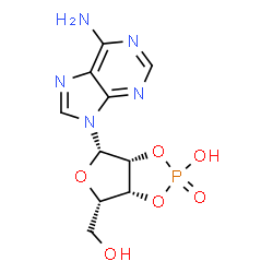ChemSpider 2D Image | (3aR,4S,6S,6aR)-4-(6-Amino-9H-purin-9-yl)-6-(hydroxymethyl)tetrahydrofuro[3,4-d][1,3,2]dioxaphosphol-2-ol 2-oxide | C10H12N5O6P