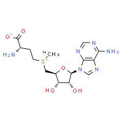 ChemSpider 2D Image | (2S)-2-Amino-4-({[(2S,3S,4R,5R)-5-(6-amino-9H-purin-9-yl)-3,4-dihydroxytetrahydro-2-furanyl]methyl}[(~14~C)methyl]sulfonio)butanoate | C1414CH22N6O5S