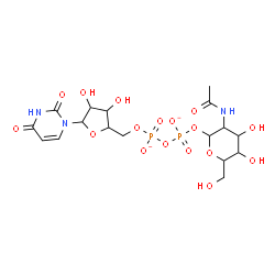 ChemSpider 2D Image | [3-acetamido-4,5-dihydroxy-6-(hydroxymethyl)tetrahydropyran-2-yl] [[5-(2,4-dioxopyrimidin-1-yl)-3,4-dihydroxy-tetrahydrofuran-2-yl]methoxy-oxido-phosphoryl] phosphate | C17H25N3O17P2