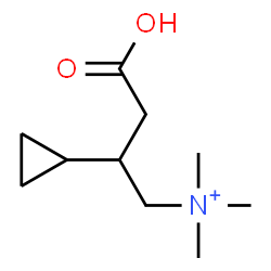 ChemSpider 2D Image | 3-Carboxy-2-cyclopropyl-N,N,N-trimethyl-1-propanaminium | C10H20NO2