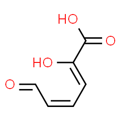 ChemSpider 2D Image | (2Z,4Z)-2-Hydroxy-6-oxo-2,4-hexadienoic acid | C6H6O4