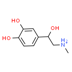 ChemSpider 2D Image | 2-(3,4-Dihydroxyphenyl)-2-hydroxy-N-methylethanaminium | C9H14NO3