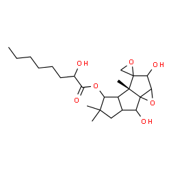 ChemSpider 2D Image | (3aR)-2,7-Dihydroxy-3a,5,5-trimethyloctahydro-3aH-spiro[cyclopenta[4,5]pentaleno[1,6a-b]oxirene-3,2'-oxiran]-4-yl 2-hydroxyoctanoate | C23H36O7