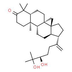 ChemSpider 2D Image | (24R)-24,25-Dihydroxydammar-20-en-3-one | C30H50O3