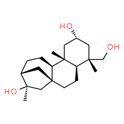 ChemSpider 2D Image | (2beta,5beta,8alpha,9beta,10alpha,13alpha,16beta)-Kaurane-2,16,19-triol | C20H34O3
